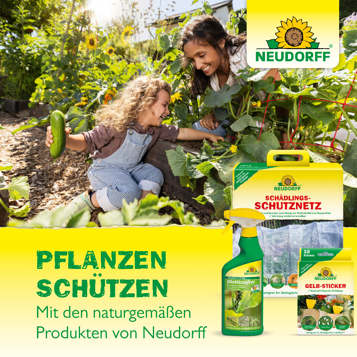 Pflanzen schützen mit den naturgemäßen Produkten von Neudorff wie Nützlingen gegen Dickmaulrüssler, Gelb-Stickern oder einem Schädlingsnetz
