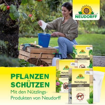 Nützlinge gegen Apfelwickler