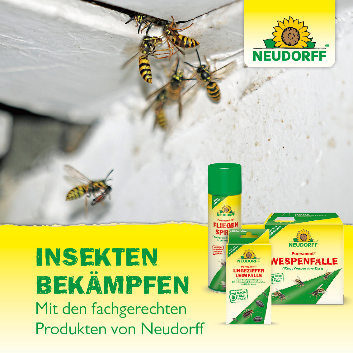 Mit dem AmeisenStopp AF von Neudorff Ameisen aus dem Haus und im Garten gezielt bekämpfen