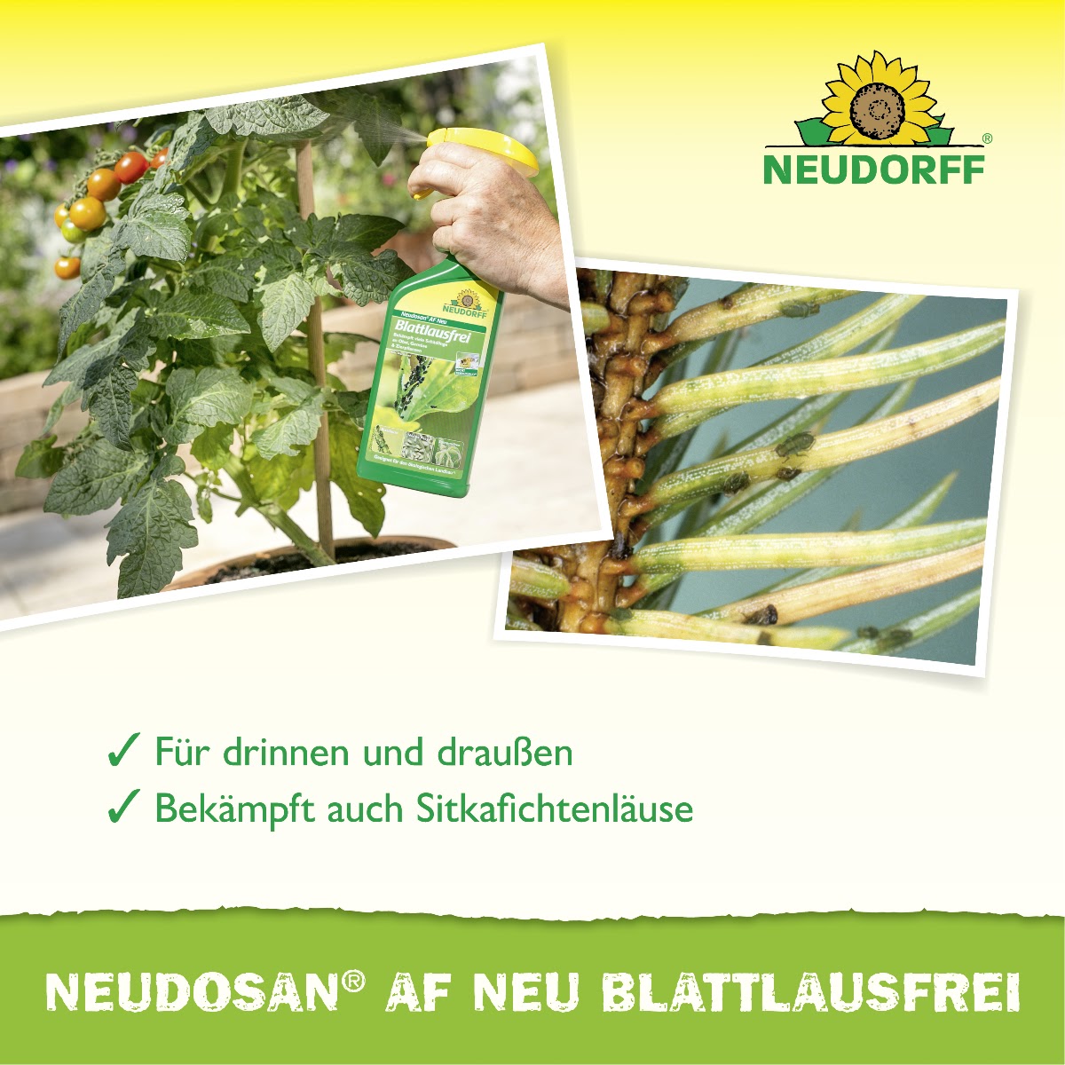 Neudosan AF Neu Blattlausfrei
Für drinnen und draußen
Bekämpft auch Sitkafichtenläuse