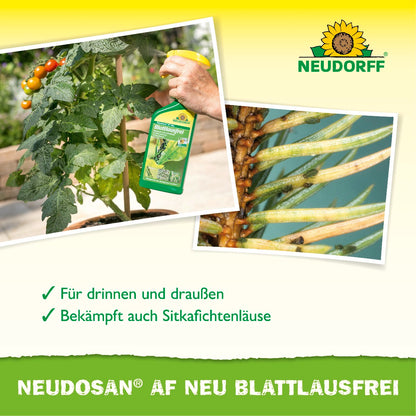 Neudosan AF Neu Blattlausfrei
Für drinnen und draußen
Bekämpft auch Sitkafichtenläuse
