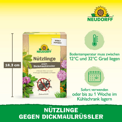 Nützlinge gegen Dickmaulrüssler