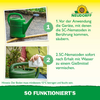 Nützlinge gegen Wiesenschnaken