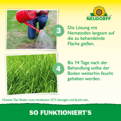 Nützlinge gegen Wiesenschnaken