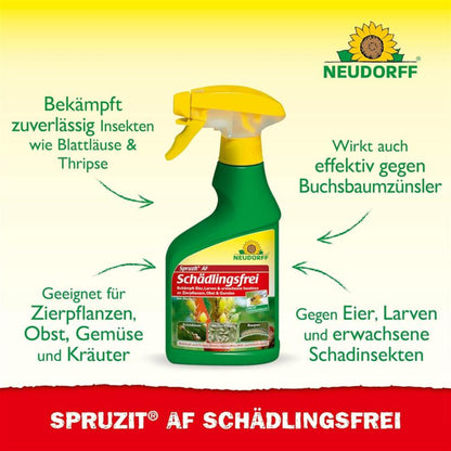 Spruzit AF Schädingsfrei bekämpft zuverlässig Eier, Larven und erwachsene Schadinsekten von Blattläusen, Buchsbaumzünslern und Thripsen an Zierpflanzen, Obst, Gemüse und Kräutern